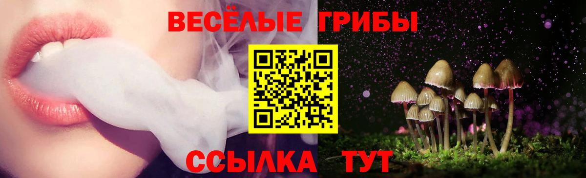 Псилоцибиновые грибы Magic Shrooms  Вход с VPN  Надым 